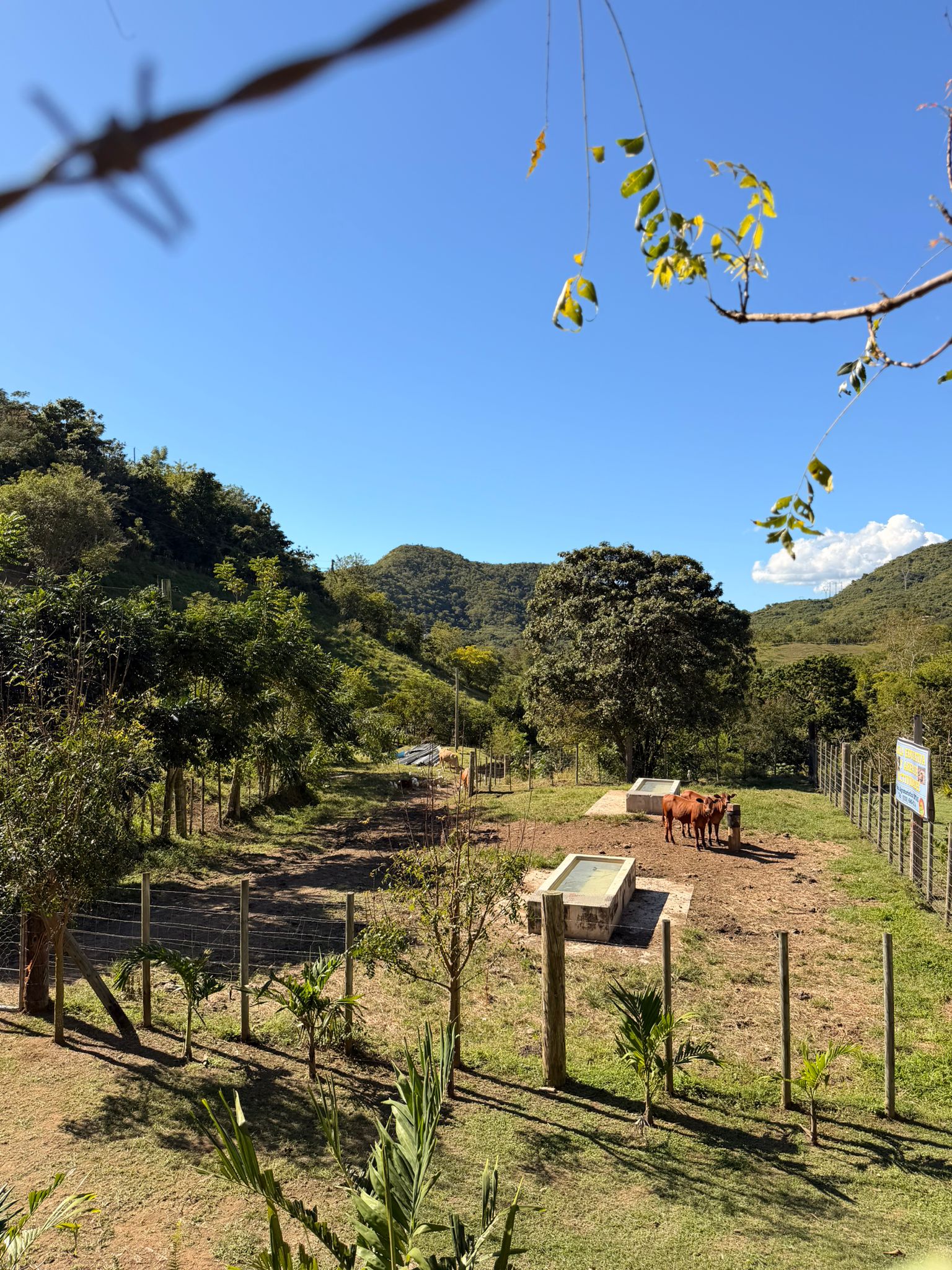 Imagen de la finca